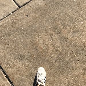 Meet your Posher, Sandy